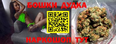 молекула духа Кингисепп