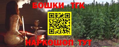 молекула духа Кингисепп