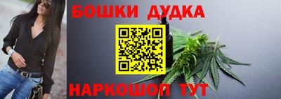 молекула духа Кингисепп
