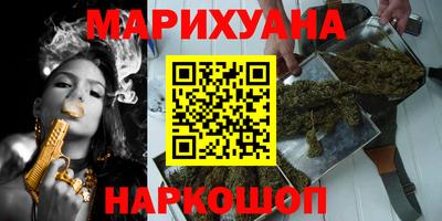 молекула духа Кингисепп