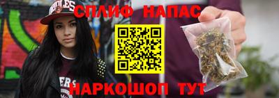 молекула духа Кингисепп