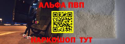 молекула духа Кингисепп